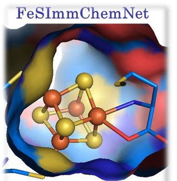 FeSImmChemNet c